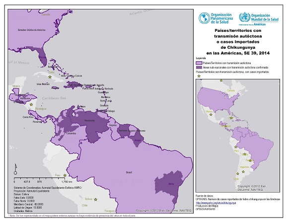 mapa chikungunya