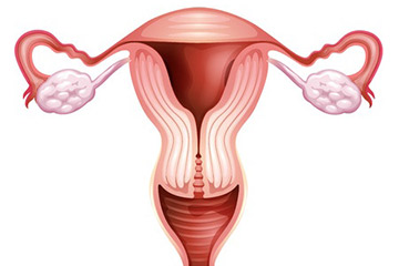 ¿Qué es la menstruación?